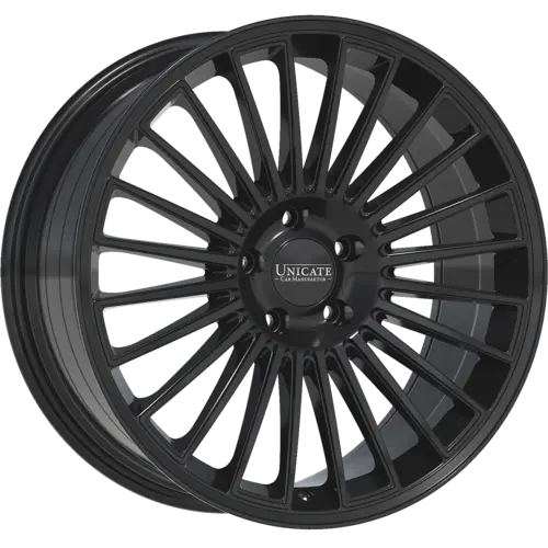 UNICATE Multispoke 24 - Concave
